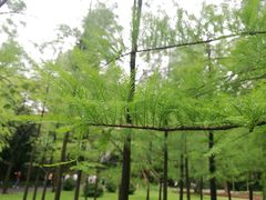 -晓港公园