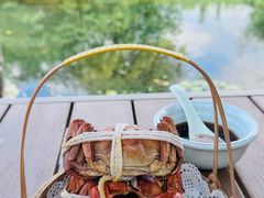 -欢乐蟹庄·精品农家乐(阳澄湖莲花岛店)