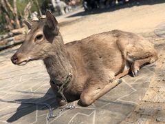 -北京世界公园
