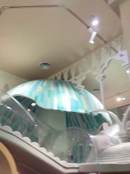 -奈尔宝·儿童乐园·亲子餐厅(星河湾店)