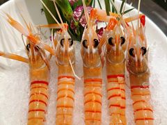 -渔乐之昕·铁板烧自助餐(虹悦城店)