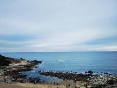 -广东惠东海龟国家级自然保护区