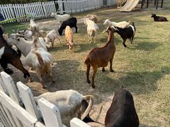 -新地休闲农场
