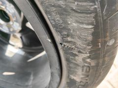 -小鱼草莓采摘园农家乐·小鱼餐厅