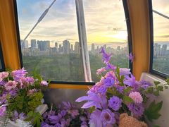 -巨鹏飞梦幻海岸