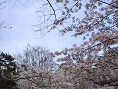 -青岛电视塔
