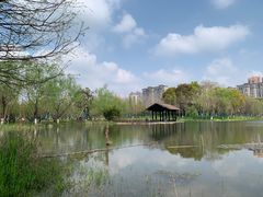 -洋湖国家湿地公园