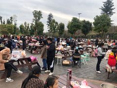 -枫香湖儿童公园