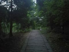 -玉苍山国家森林公园