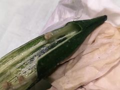 -江海渔港(姚港路店)