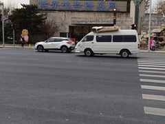 -南宫五洲植物乐园