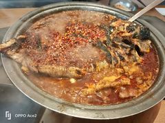 -鱼酷活鱼烤鱼(静安大融城店)