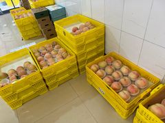-老袁家蜜桃农场·阳山水蜜桃