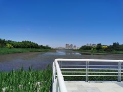 -天津东丽湖风景区