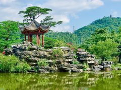 -顺峰山公园