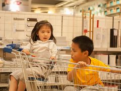 -宜家·瑞典风味餐厅(北京西红门店)