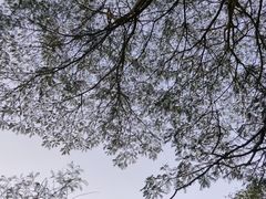 -滨海公园