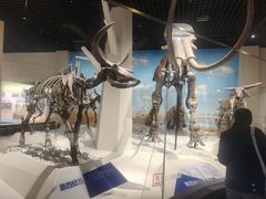 -国家自然博物馆