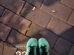 -晓港公园