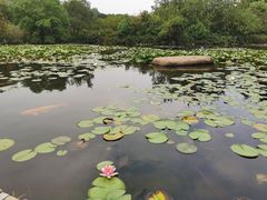 -白马涧龙池景区