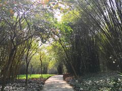 -晓港公园