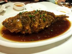-金春禧(世茂国际广场店)