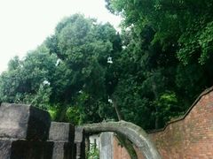 -金堂县云顶石城风景区