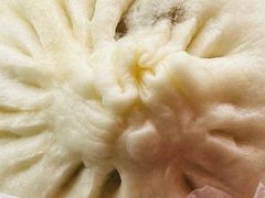 黑猪肉香菇大包-和善园手工包子(永吉路店)