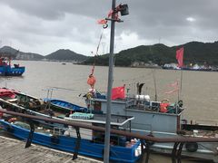 -胖大嫂渔家排档·全海景餐厅(渔村店)