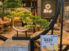 -喜上喜鸡煲翅(吉大店)