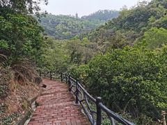 -大雁山风景区