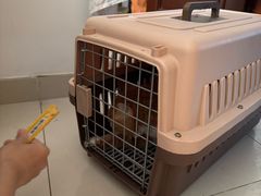 -纳吉亚猫专科动物诊疗中心(蒋宅口分院)