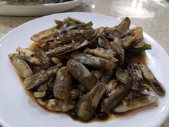 姜葱炒圣子王-鹏城人家海鲜酒家·23年老字号(较场尾店)