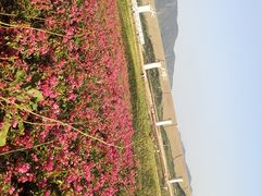 -光明小镇欢乐田园