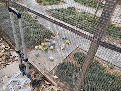 -佛冈森波拉度假区