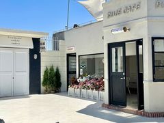 -Blue Concept Cafe&Farm·關於藍