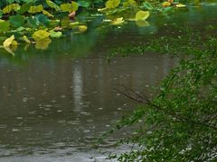-龙潭水乡