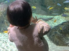 -江和美海洋公园
