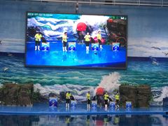 -多彩贵州城极地海洋世界