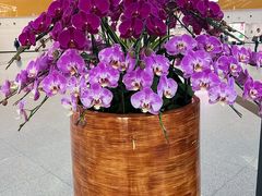 -福州长乐国际机场