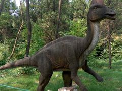 -原山国家森林公园