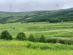 -塞罕坝国家级自然保护区