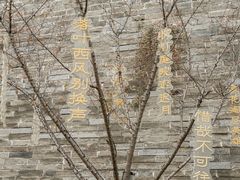 -桂湖森林公园