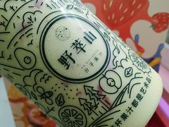 -野萃山·潮汕厚果汁(十亩地店)