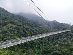 -南丹山森林王国
