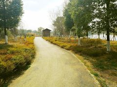 -白鹭湾湿地公园