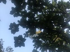 -DECAMERON十日谈(卓悦汇店)