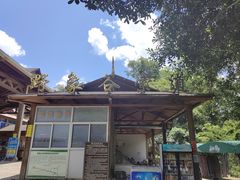 -野象谷景区