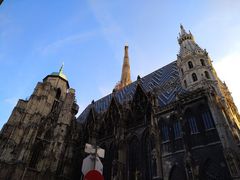 -斯蒂芬主教座堂(Stephansdom)