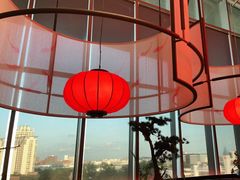-天辣(金桥啦啦宝都店)